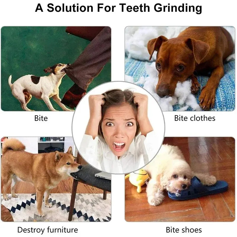 Dog Treat Feeder Chew Tooth Cleaning Ball - Wavy Moon