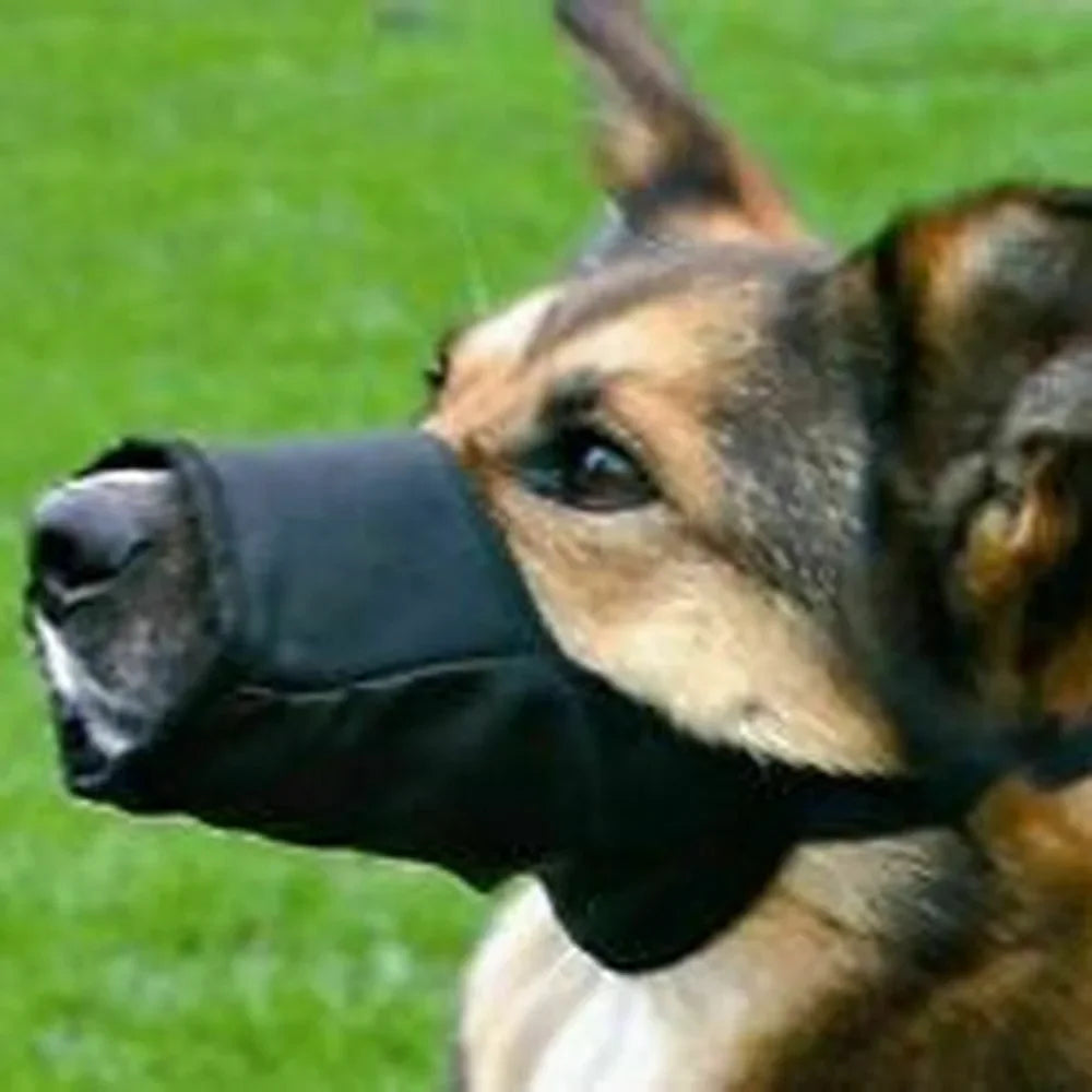 Soft Nylon Dog Muzzles - Wavy Moon