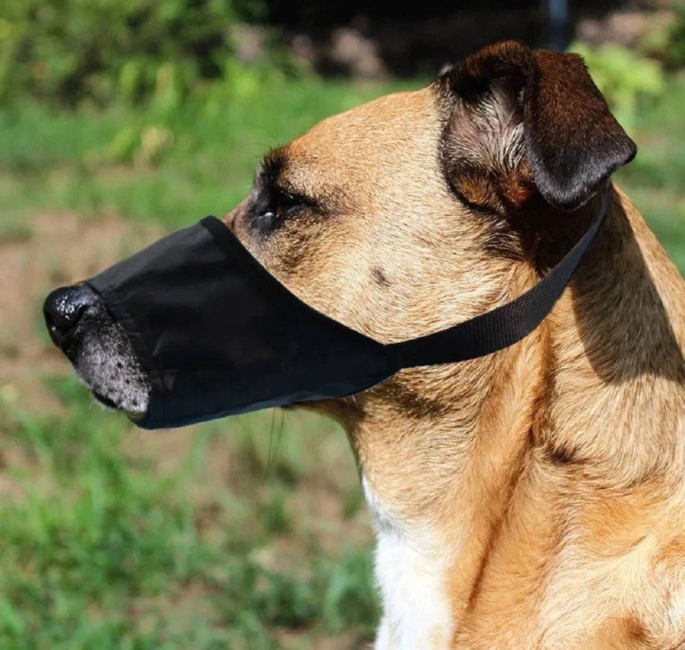 Soft Nylon Dog Muzzles - Wavy Moon