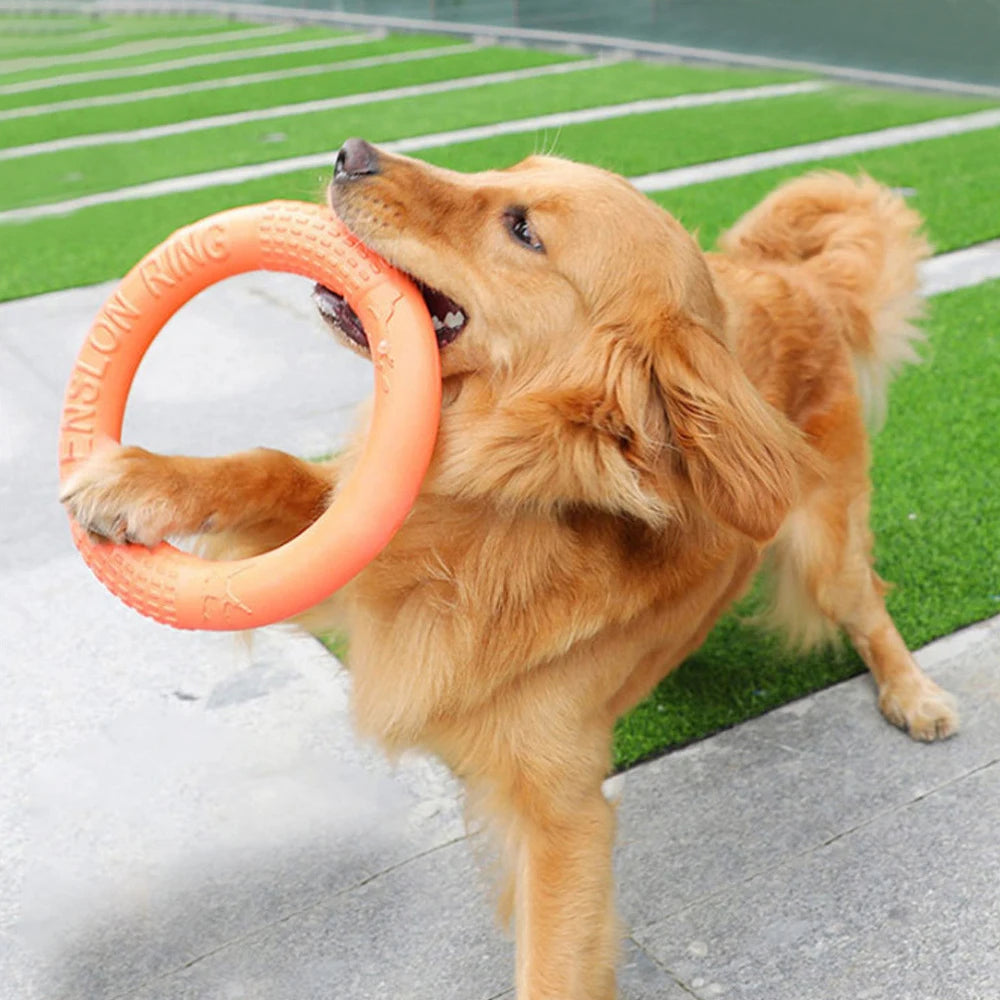 Pet Flying Disk Training Ring Puller Ring - Wavy Moon
