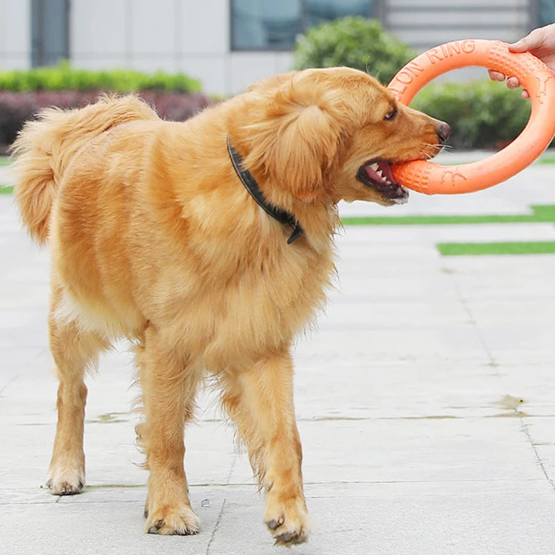 Pet Flying Disk Training Ring Puller Ring - Wavy Moon