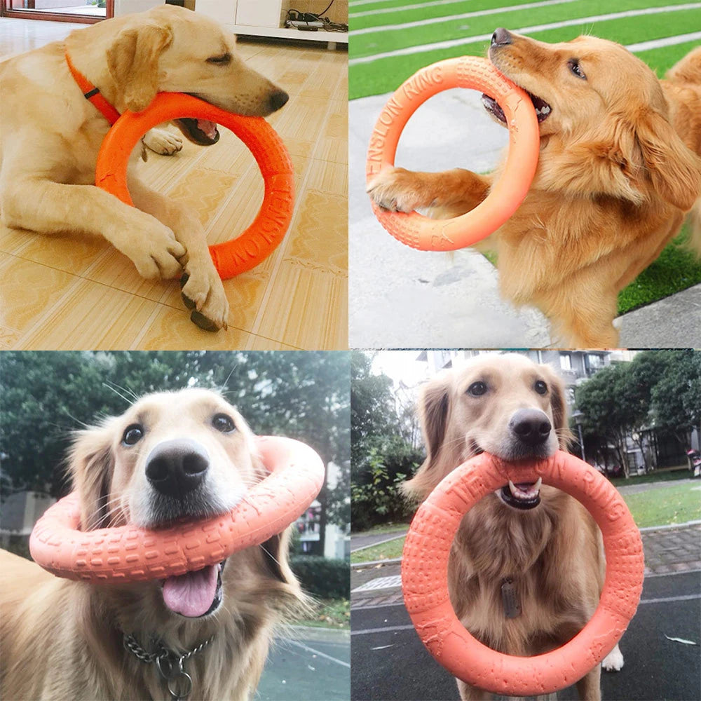Pet Flying Disk Training Ring Puller Ring - Wavy Moon