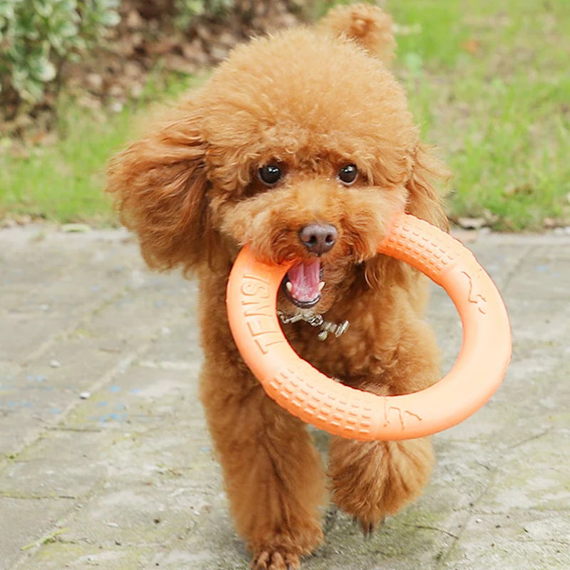 Pet Flying Disk Training Ring Puller Ring - Wavy Moon
