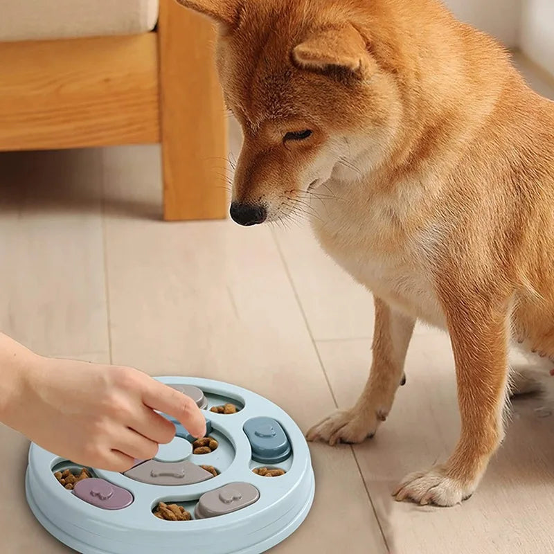 Slow Food Training Dog Educational Toy - Wavy Moon 